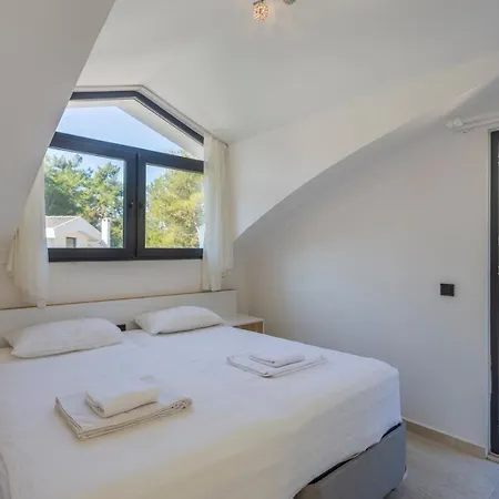 别墅 Hisar Celebrity D 费特希耶