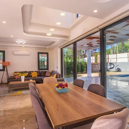 Hisar Celebrity D フェティエ