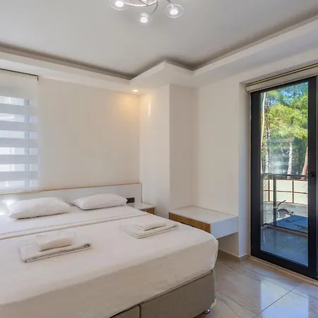 Hisar Celebrity D * フェティエ