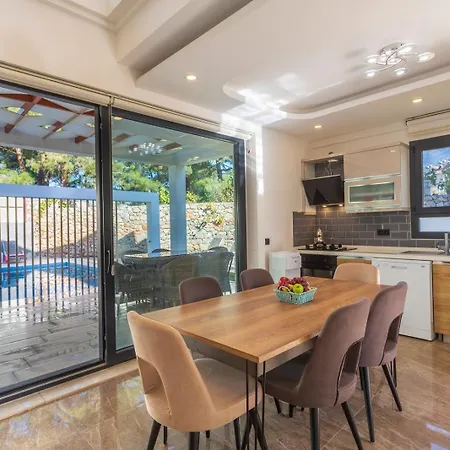 ヴィラ Hisar Celebrity D