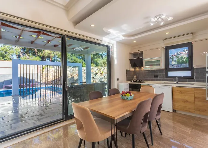 Vila Hisar Celebrity D